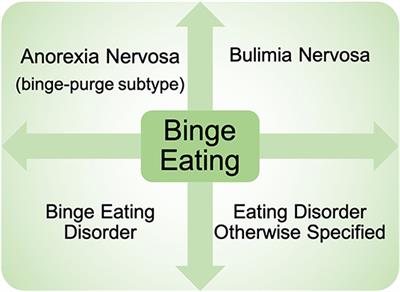 Breaking It Down: Investigation of Binge Eating Components in Animal Models to Enhance Translation